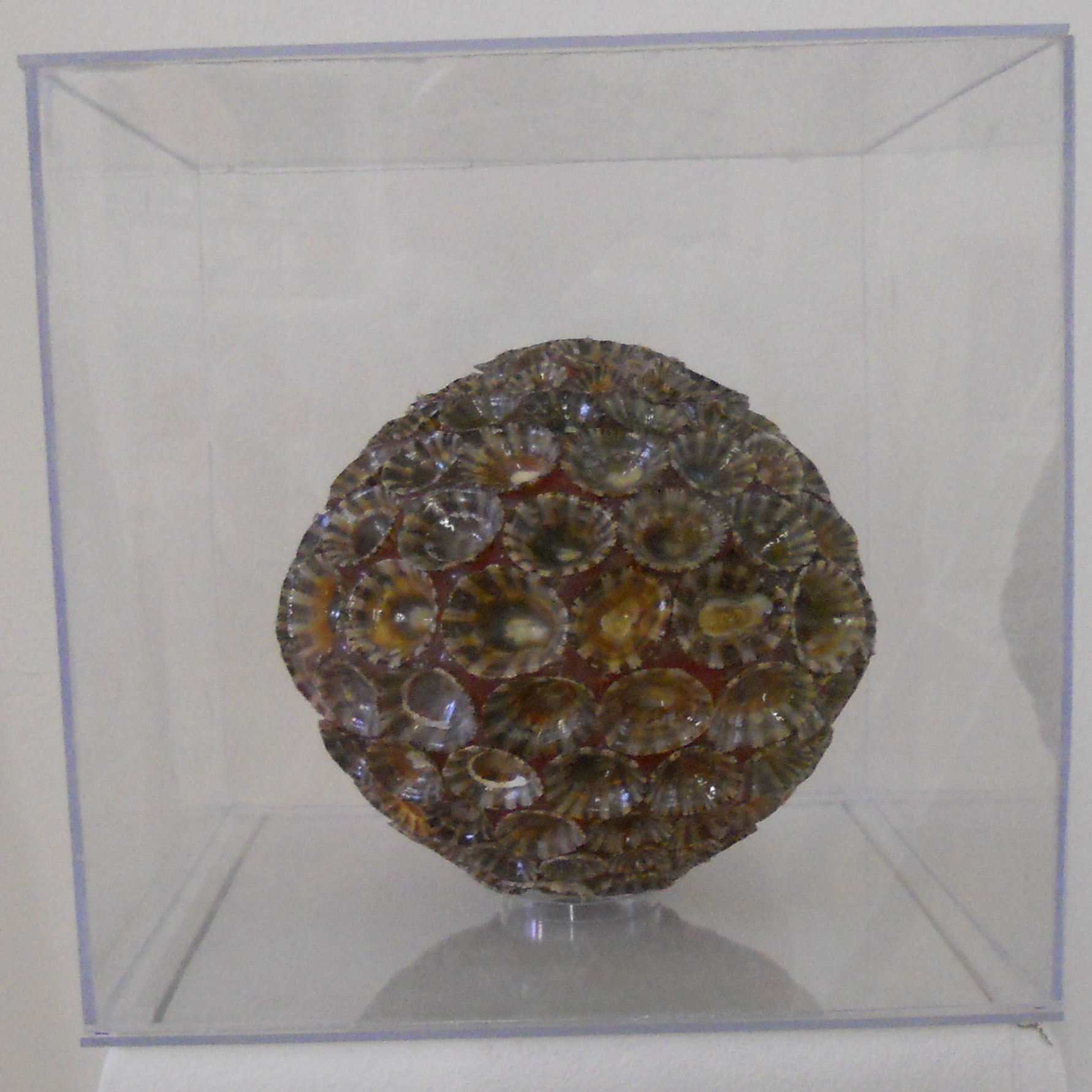 MW 16 (Hohe Aufl&ouml;sung)